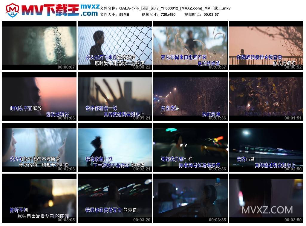 GALA-小鸟_国语_流行_YF800012